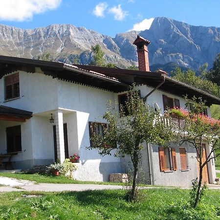 Tourist Farm Zvanc 科巴里德 外观 照片