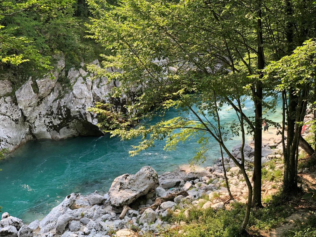 Tourist Farm Zvanc 科巴里德 外观 照片