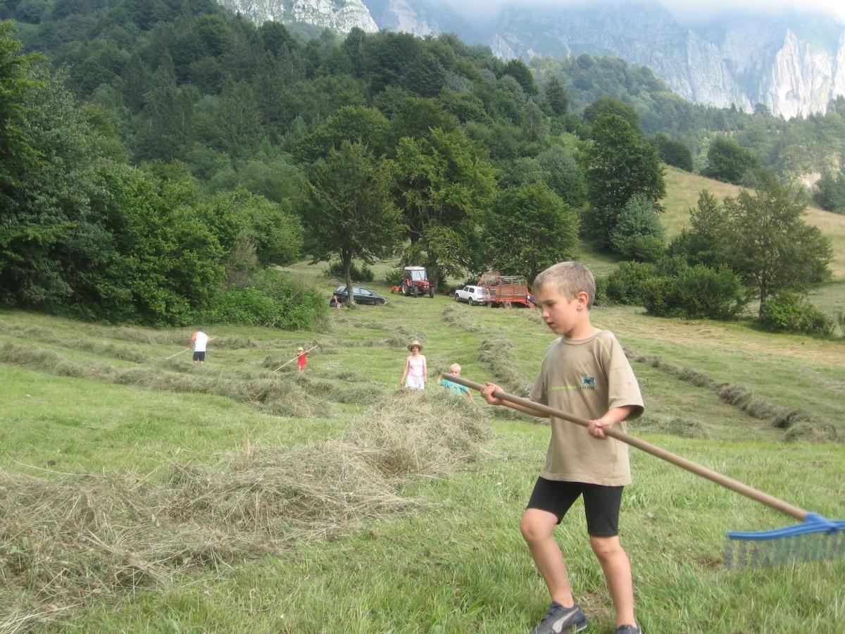 Tourist Farm Zvanc 科巴里德 外观 照片