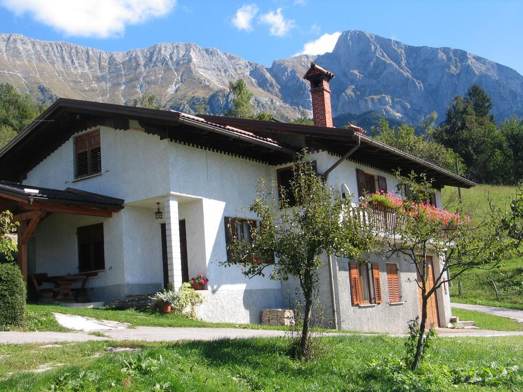 Tourist Farm Zvanc 科巴里德 外观 照片