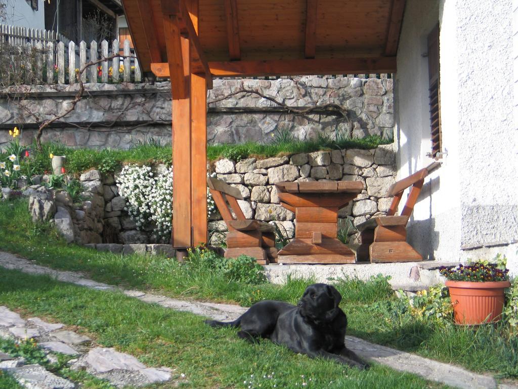 Tourist Farm Zvanc 科巴里德 外观 照片