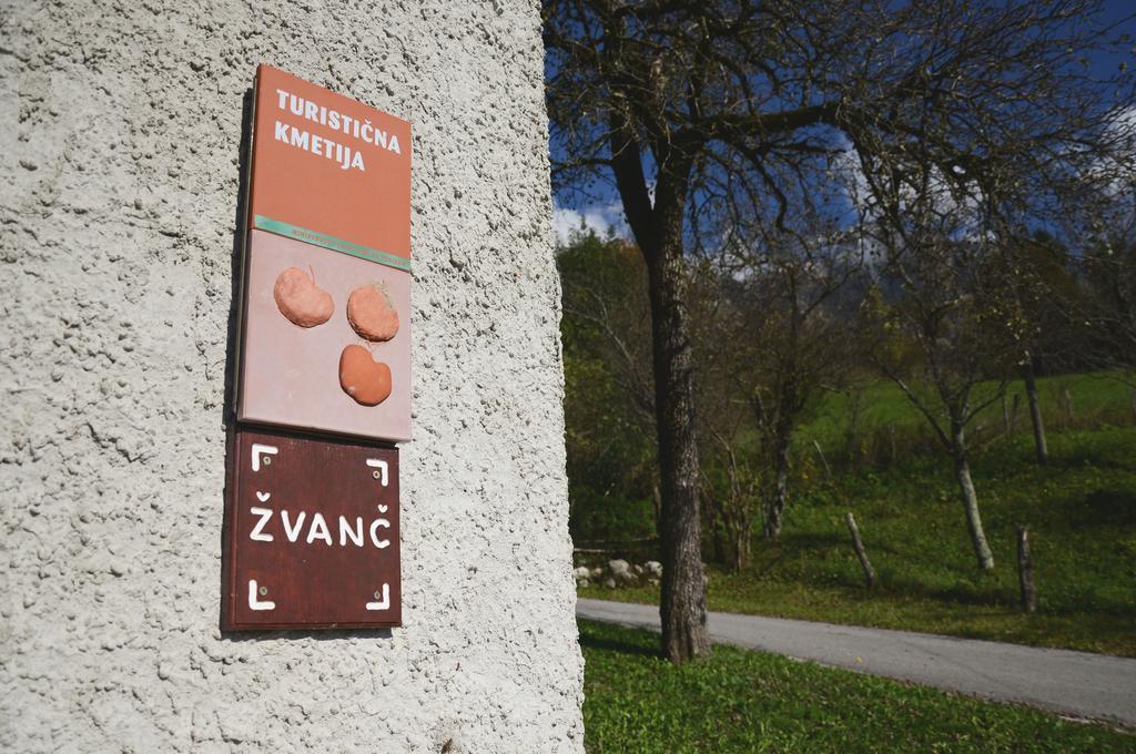 Tourist Farm Zvanc 科巴里德 外观 照片